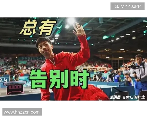 上海羽毛球队反击之路：成败得失与未来展望分析