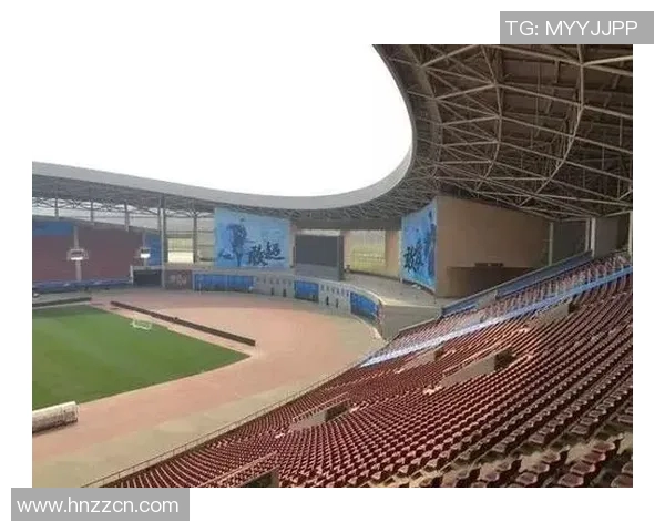 泰达与权健对决购票攻略全方位解析助你轻松入场观看比赛