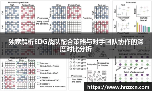独家解析EDG战队配合策略与对手团队协作的深度对比分析